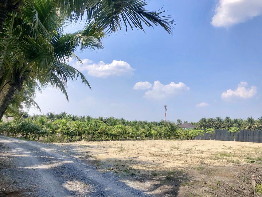 รูป ขายที่ดิน200ตรว. ถมแล้ว ซอยสุขสมบูรณ์9 ตำบลบางช้าง อำเภอสามพราน จังหวัดนครปฐม