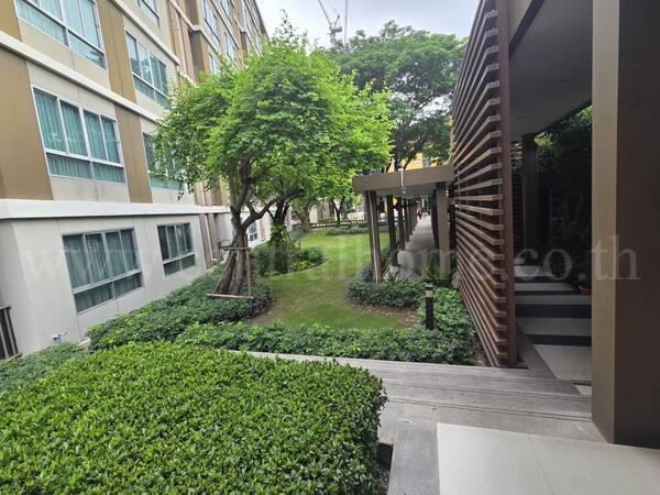 ดีคอนโด แคมปัส รีสอร์ท รังสิต ห้องมุม ใกล้ ม.ธรรมศาสตร์ 11