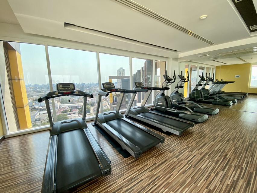 Condominiums ivy pinklao 7