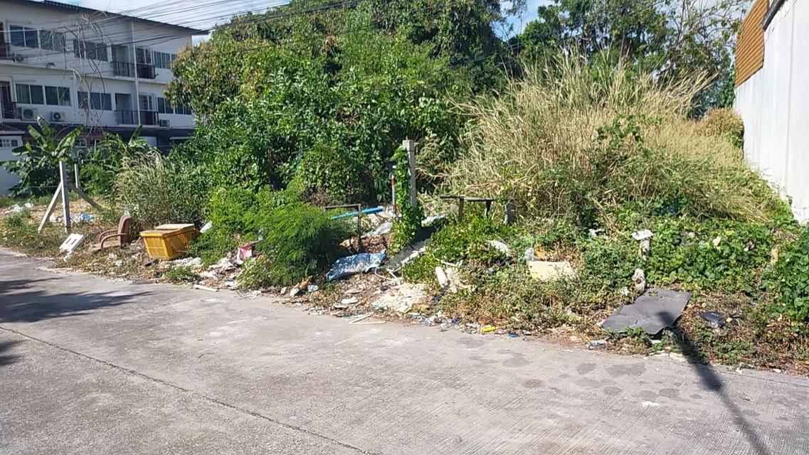 ขายที่ดินเสม็ด ซอยหลังแม็คโครเนื้อที่ 52 ตรว. ติดถนนซอยจัดสรร5 ใกล้ถนนเส้นสุขุมวิท3-300เมตร อ.เมืองชลบุรี 3