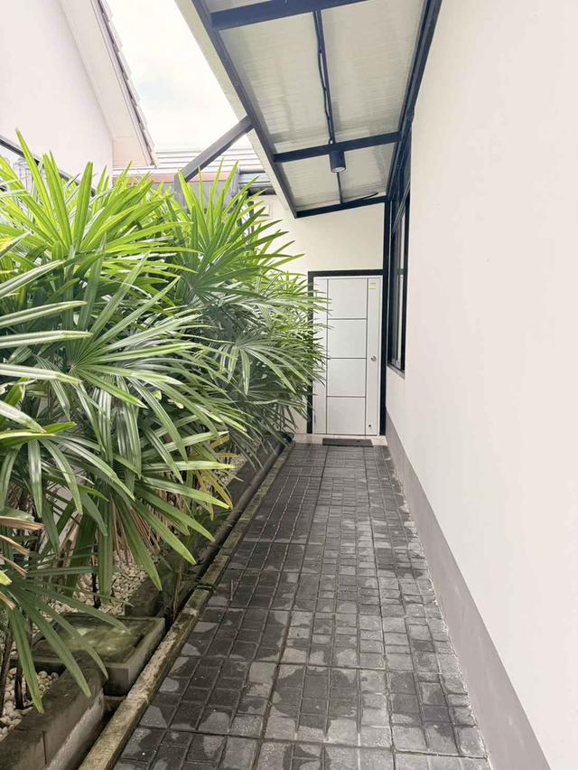 Canna village 2.99 million 15