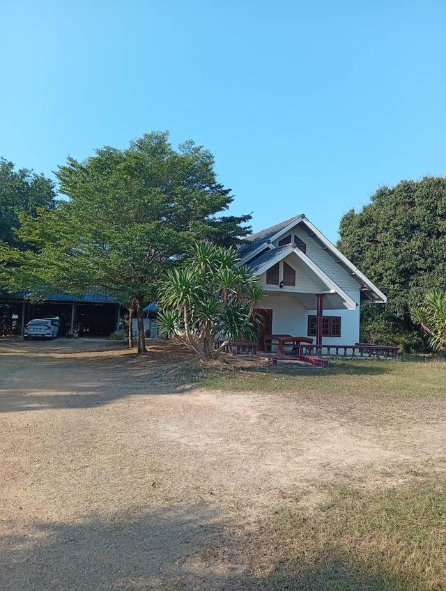 ขายบ้าน พร้อมที่ดิน สวนผลไม้ 19 ไร่ 2 งาน อ.ไทรโยค จ.กาจญจนบุรี 3