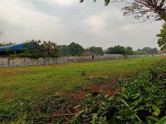 ขายที่ดินจัดสรรทำเล วัชรพล ตร.วาละ 55,000 บาท 3