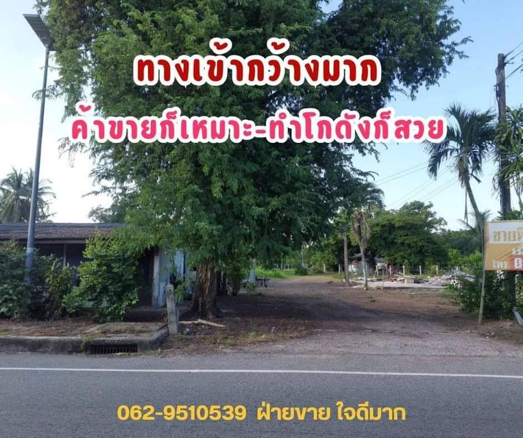 ขายที่ดินสิงหนคร สงขลา ขายที่ดินทำโกดัง  11