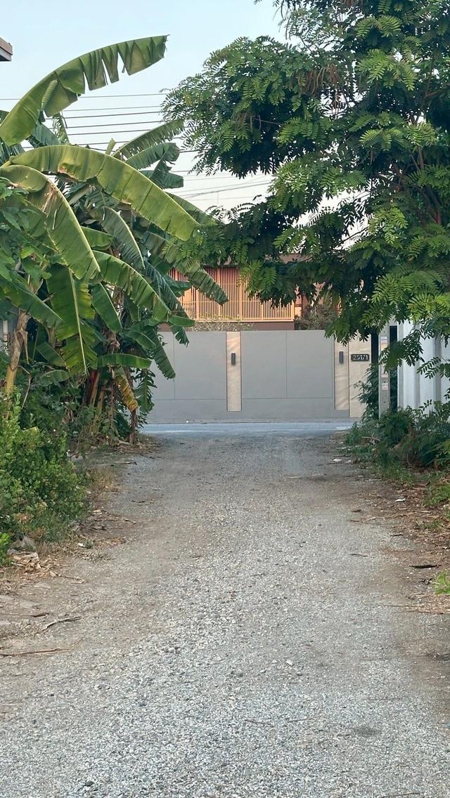 ขายที่ดิน 300 ตรว.แพรกษา ติดคลอง 9