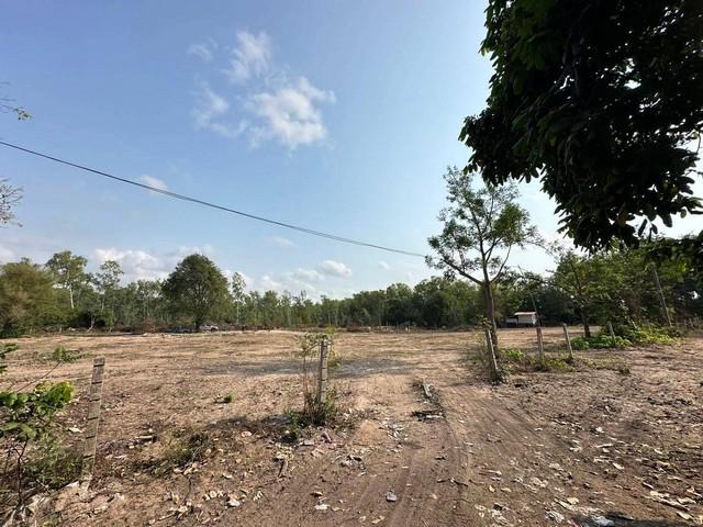 ขายที่ดิน ใกล้สนามกอล์ฟฟินิกส์ ขายยกแปลง ห้วยใหญ่ พัทยา