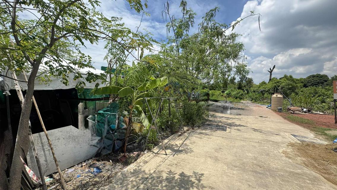 ขายที่ดิน 67.8 ตรว สุขสวัสดิ์ 78 ซอยวัดชังเรือง คู่สร้าง-คู่สม โครงการ3 ซอย 4/3 ราคาถูก ใกล้ตลาดคู่สร้าง 4