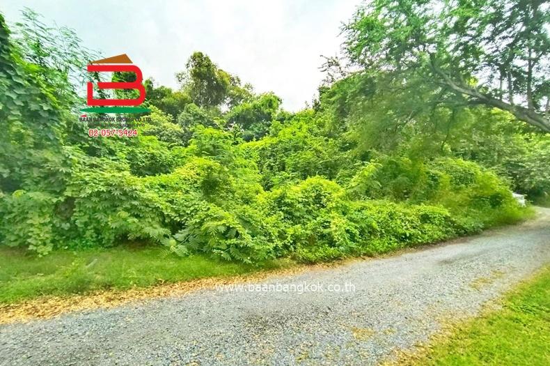 ที่ดินเปล่า ซอยบ้านพักคนชรา (ซอยร่วมสุข 4/19) เนื้อที่ 1-1-82 ไร่ ถนนติวานนท์ ตำบลบ้านใหม่ อำเภอเมืองปทุมธานี จังหวัดปทุมธานี 5