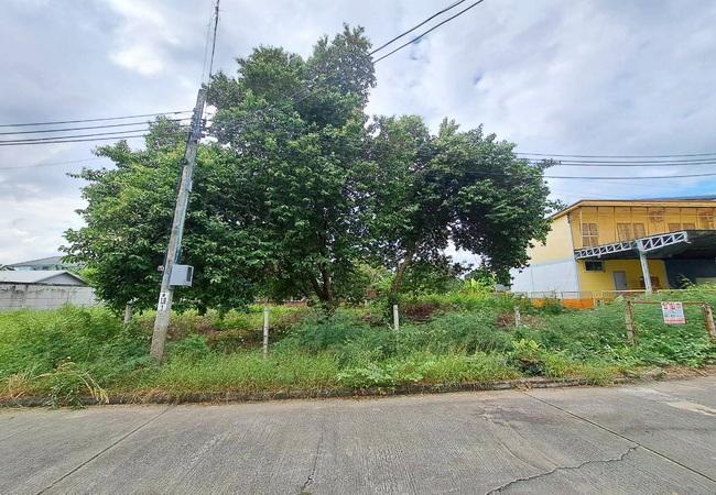 ขายที่ดิน ซอยศาลาธรรมสพน์ 13 ถนนบรมราชชนนี เขตทวีวัฒนา กรุงเทพมหานคร 4