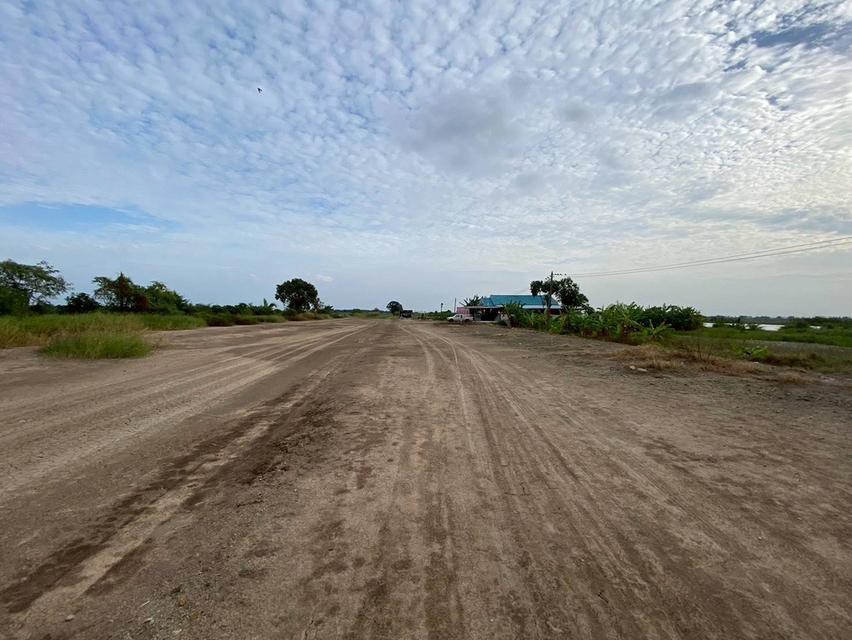 Vายถูกที่สุดที่ดิน 2ไร่ครึ่ง ติดถนนคอนกรีตสาธารณะ ถมแล้วnต.บางภาษี อ.บางเลน จ.นครปฐม 5