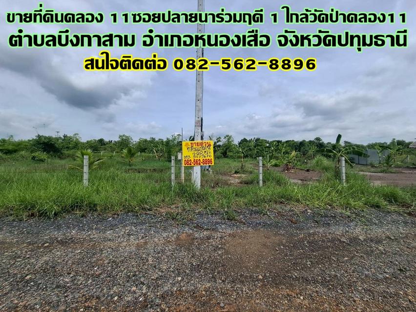 ขายที่ดินคลอง 11ซอยปลายนาร่วมฤดี 1 ใกล้วัดป่าคลอง1 หนองเสือ ปทุมธานี