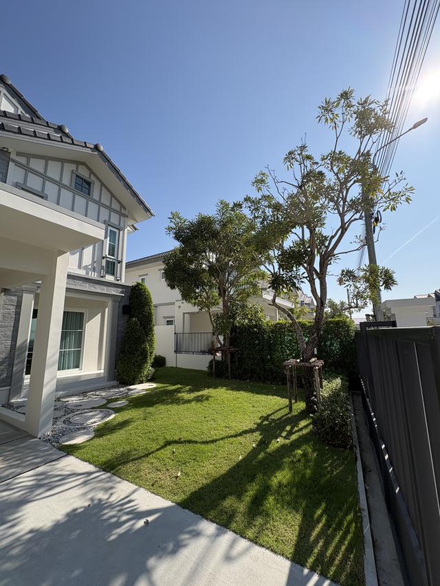 ให้เช่าบ้านเดี่ยว Villaggio 3 ศรีนครินทร์-บางนา (พร้อมเข้าอยู่) 3