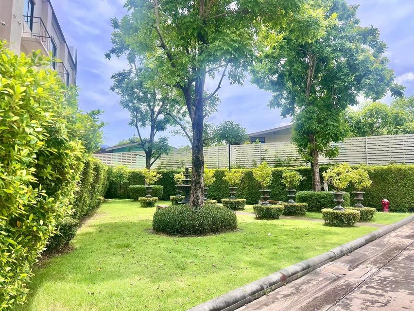 ขายบ้าน โฮมออฟฟิศ3ชั้น โครงการ ดิไอเฟล รามคำแหง- กรุงเทพกรีฑา 14