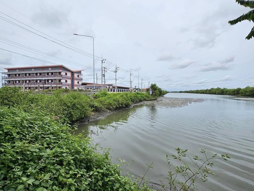 ประกาศขายที่ดิน สมุทรสาคร 44 ไร่ 3 งาน 68 ตารางวา 10