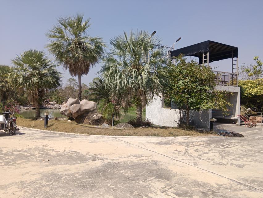 ขายที่ดินเนื้อที่ 9-1-52.4 ไร่ พร้อมสิ่งปลูกสร้าง ต.ทุ่งหลวง อ.ปากท่อ จ.ราชบุรี 11