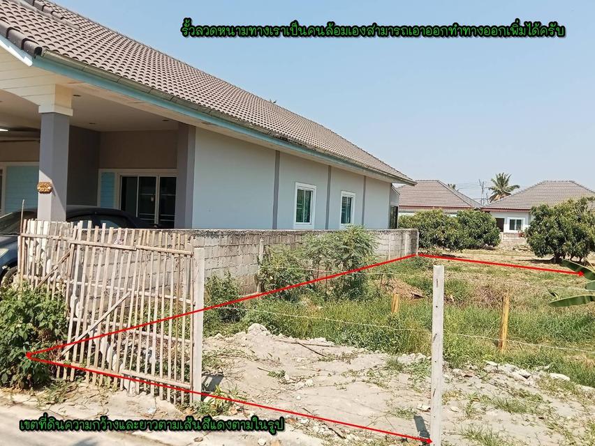 ที่ดินเปล่า/ไม่แบ่งขาย 11