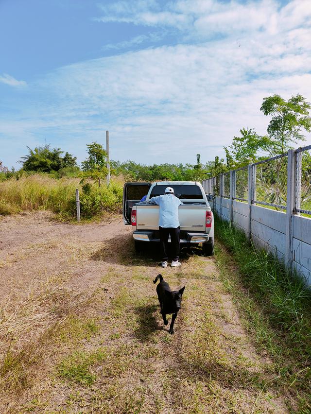 ที่ดินจังหวัดขอนแก่น อำเภอเมือง 5