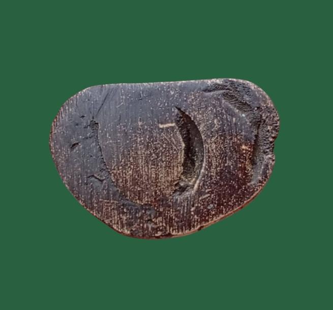 หลวงพ่อเงิน พิมพ์นิยม รูปที่ 5