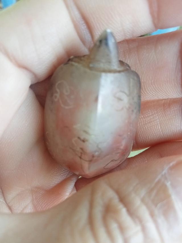 เต่า หลวงพ่อสนิท วัดลำบัวลอย 4