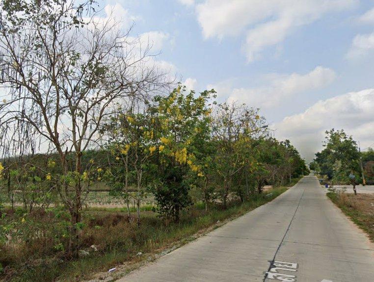 ขายที่ดินมาบข่า นิคมพัฒนา 31 ไร่ ซอย3สาย13 ใกล้นิคมปิ่นทอง6-5กม. จ.ระยอง