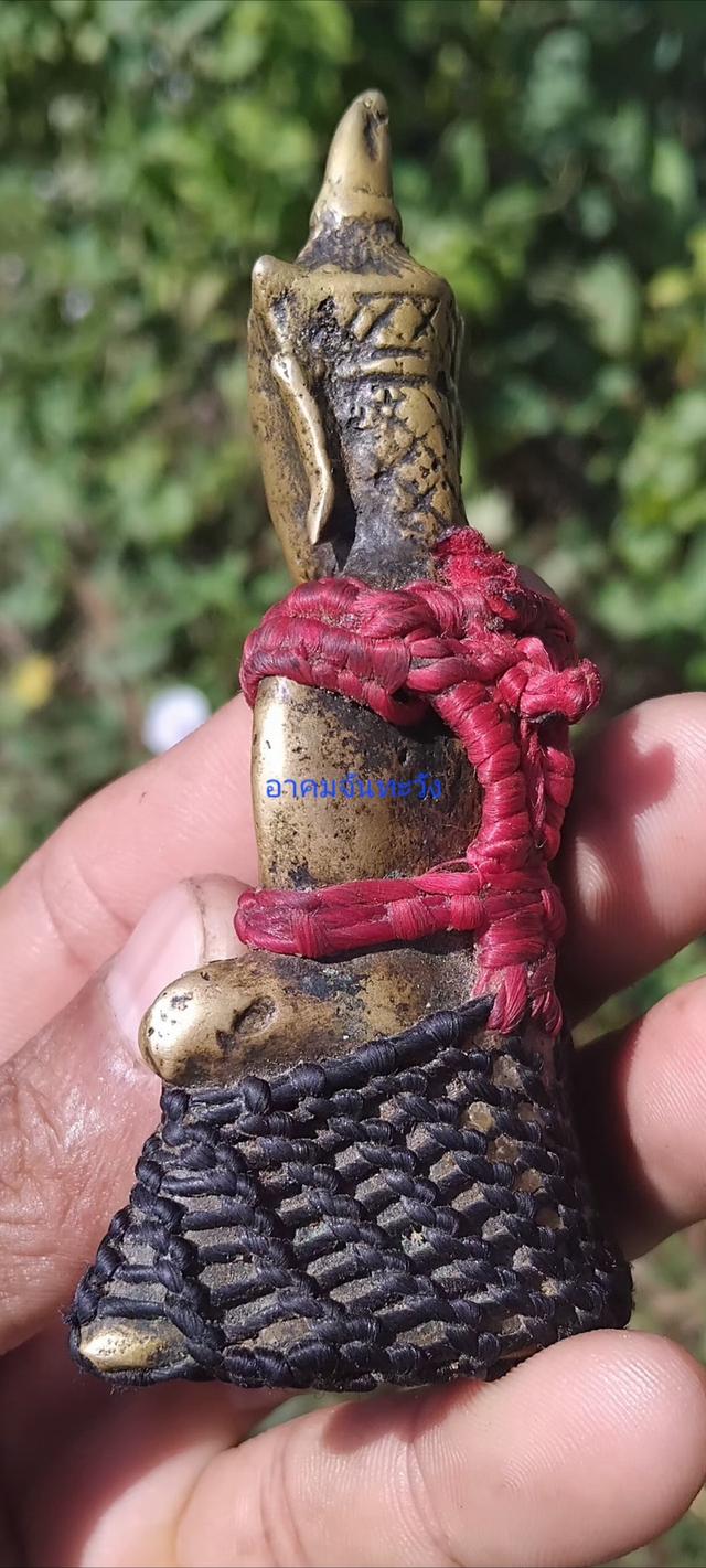 พญางั่งสุวรรณภูมินิ้วกระดก 7