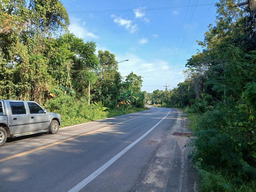 ขายที่ดินเปล่าโฉนด 1 งาน 14 ตร.ว. อยู่ในชุมชน ต.นาชะอัง อ.เมืองชุมพร ห่างศาลากลางจังหวัดเพียง 3 กม. ที่เนินปลอดภัยจากน้ำท่วม 7