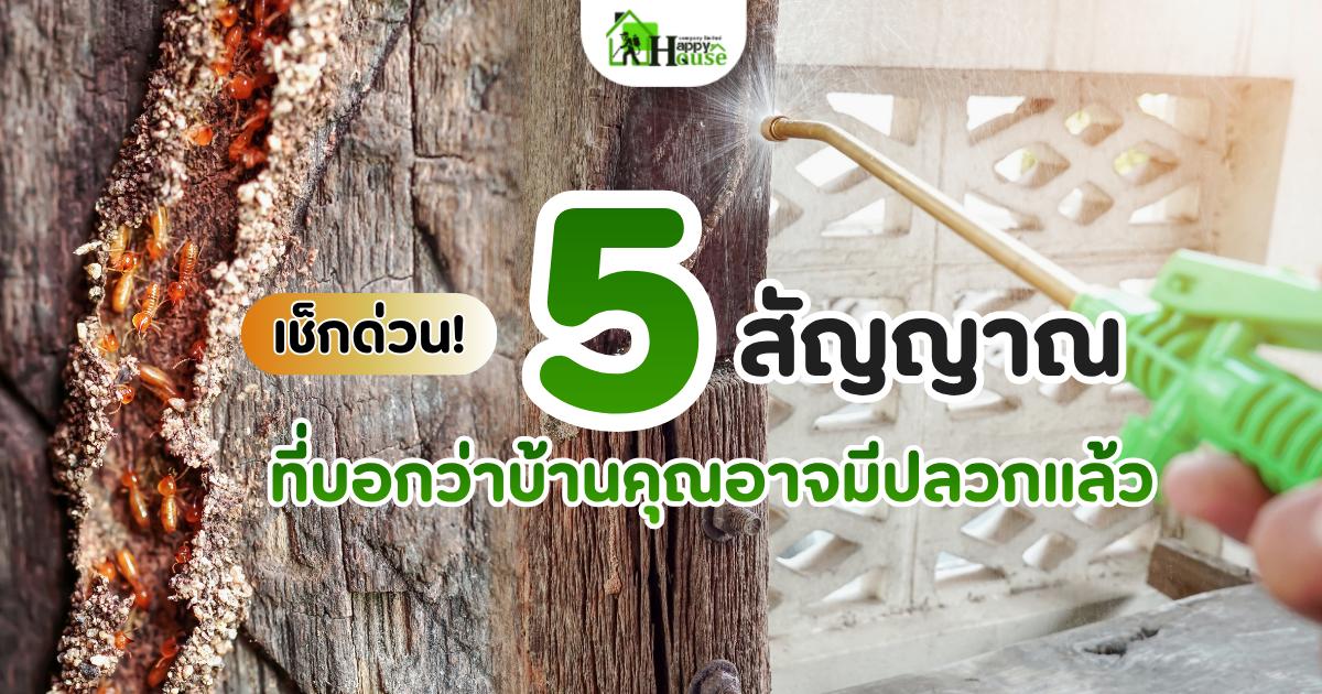 5 สัญญาณบ้านมีปลวกขึ้น