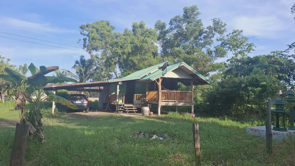 บ้านสวนสองหลังพร้อมเนื้อที่สองไร่ 16