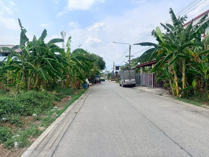 ขายด่วนที่ดินใกล้วัดแสงสรรค์ 140 ตรว ติดถนนสาธารณะ รังสิต-นครนายก 33 ธัญบุรี ปทุมธานี 7