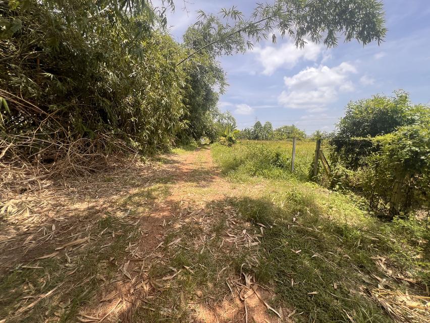 ขายที่ดิน หนองจอก 2 ไร่ 5