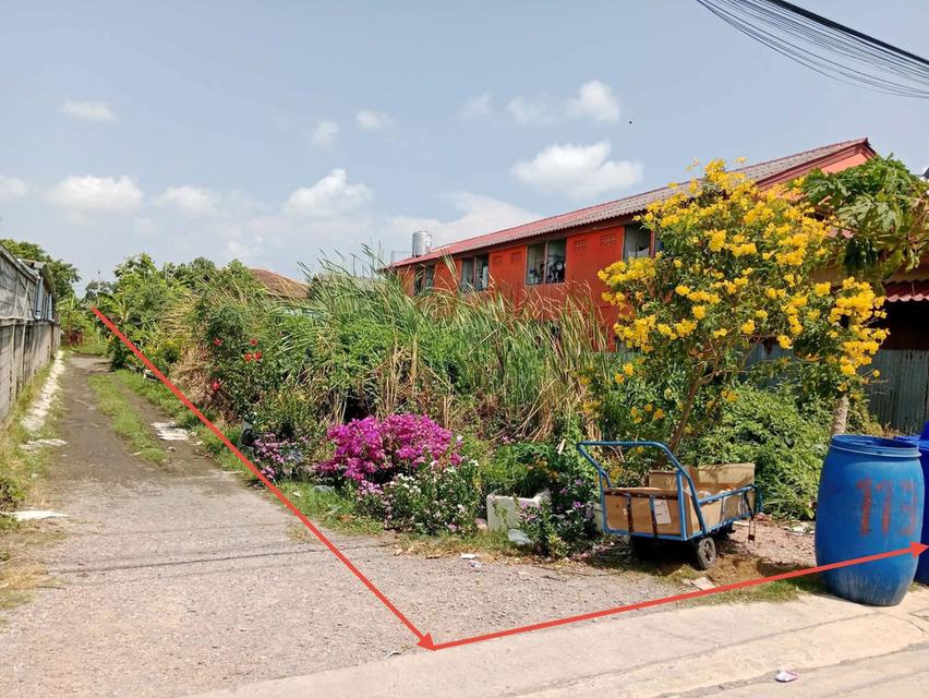 ขายที่ดิน 100 ตรวเศษ 6