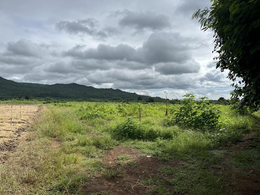 ขายที่ดิน 42 ไร่ วังดง กาญจนบุรี ติดลำห้วย วิวเขาล้อมรอบ บรรยากาศธรรมชาติ 7