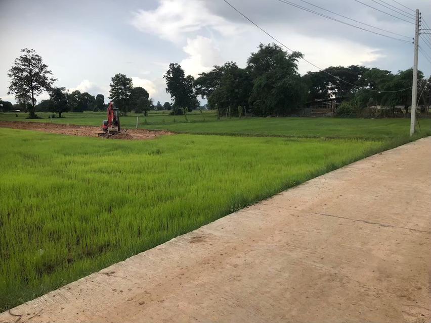 เจ้าของขายเอง ขายที่ดิน 5 ไร่กว่า ติดถนน น้ำ-ไฟ ถึง ห่างสถานีรถไฟ อำเภออุทุมพรพิสัย 5 กิโล เดินทางสะดวกมาก 6