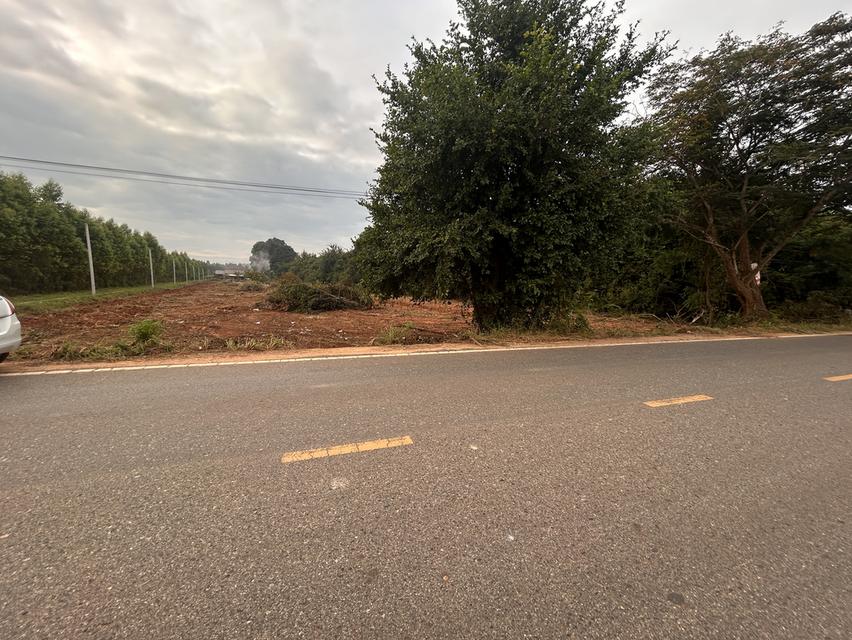 ขายที่ดิน  2 ไร่ห่างจาก331 หนึ่งกิโล 3