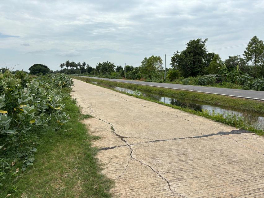 ขายที่ดินเปล่า โฉนดครุฑแดง ต.ดอนทราย  อ.โพธาราม จ.ราชบุรี รูปย่อยที่ 4