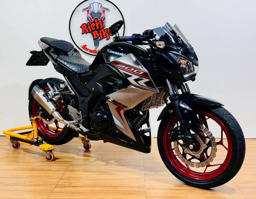 Z300