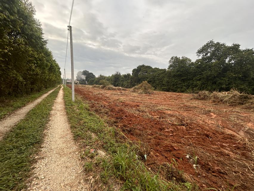 ขายที่ดิน  2 ไร่ห่างจาก331 หนึ่งกิโล 5