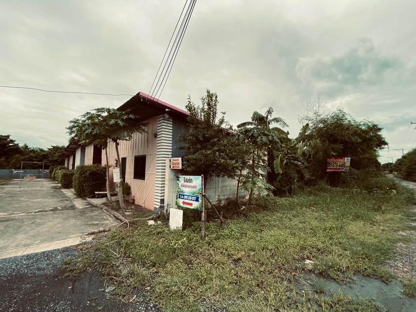 ขายถูกต่ำกว่าประเมิน 292 ตรว ติดถนนสาธารณะ คลอง 13 ฝั่งตะวันตก หนองจอก กทม. 1