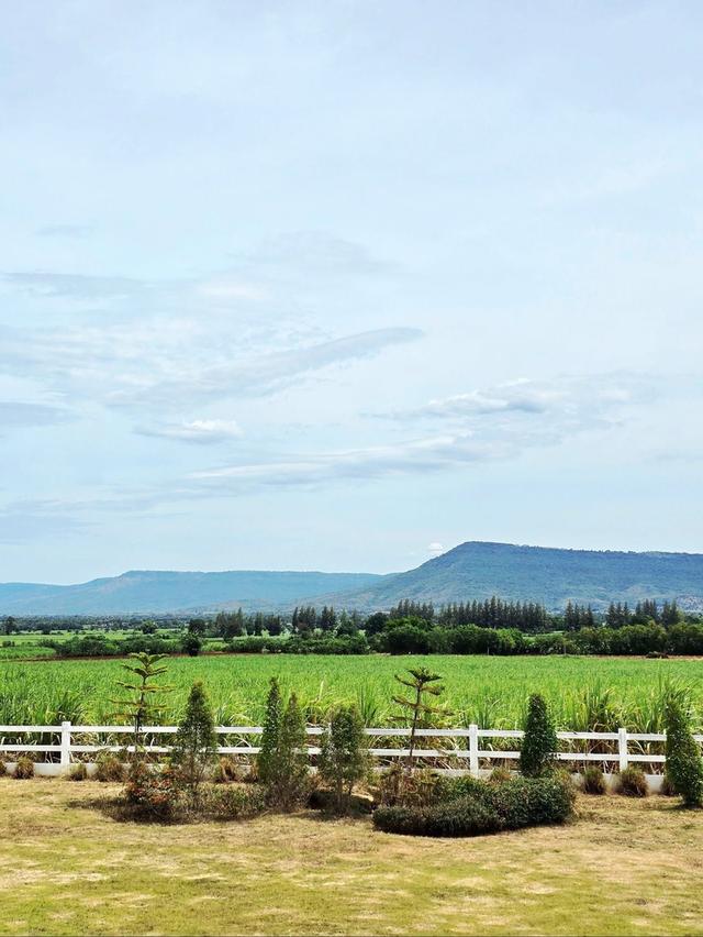 Rare Khao Yai Pool Villa  Panoramic views, 2 villas, pet-friendly. Turnkey Airbnb ready for 14.9M THB. Don't miss out 5