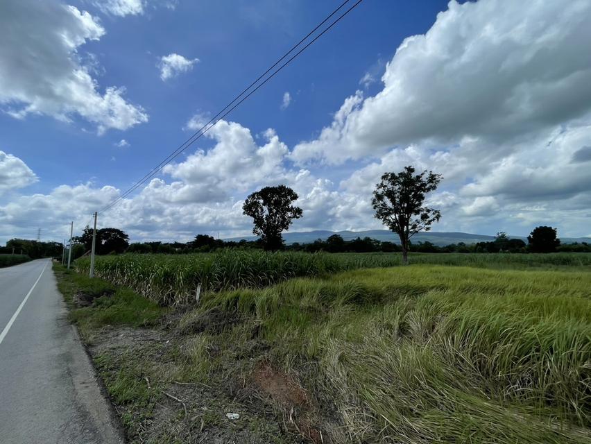 ที่ดินติดถนน เส้นบ้านไทรงามมุ่งหน้าอำเภอคอนสวรรค์ ที่ดินอยู่ในเขตอำเภอเมืองชัยภูมิ โทร 0939694146 2