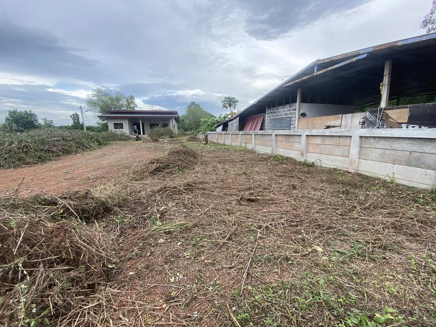 ที่ดินพร้อมบ้านราคาถูก 9