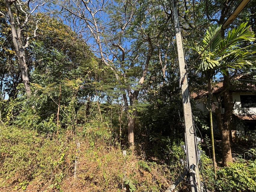 ที่ดินเปล่า โครงการภูริพิมาน ปากช่อง 1