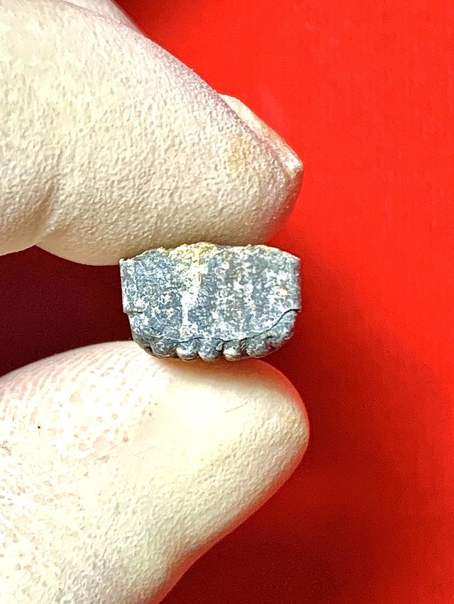 หลวงปู่ทวด รุ่นพระของขวัญ พิมพ์พระรอด เนื้อว่านผสมผงเหล็กไหล หลังลายมือ ออกวัดห้วยมงคล ปี2553 7