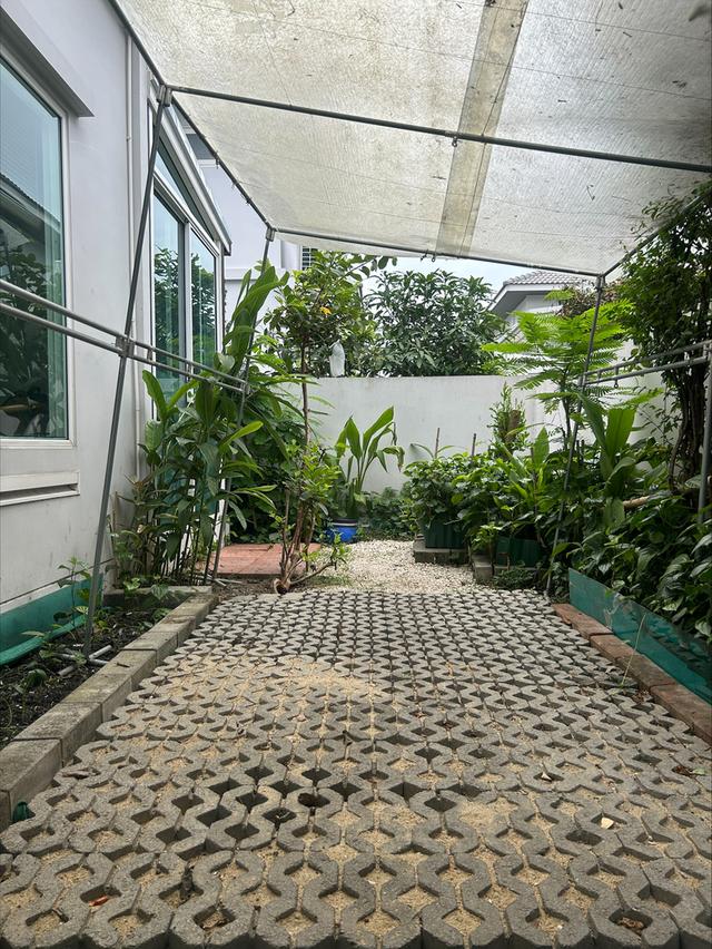 บ้าน หมู่บ้านชัยพฤกษ์ทางด่วนรามอินทรา-จตุโชิต 14