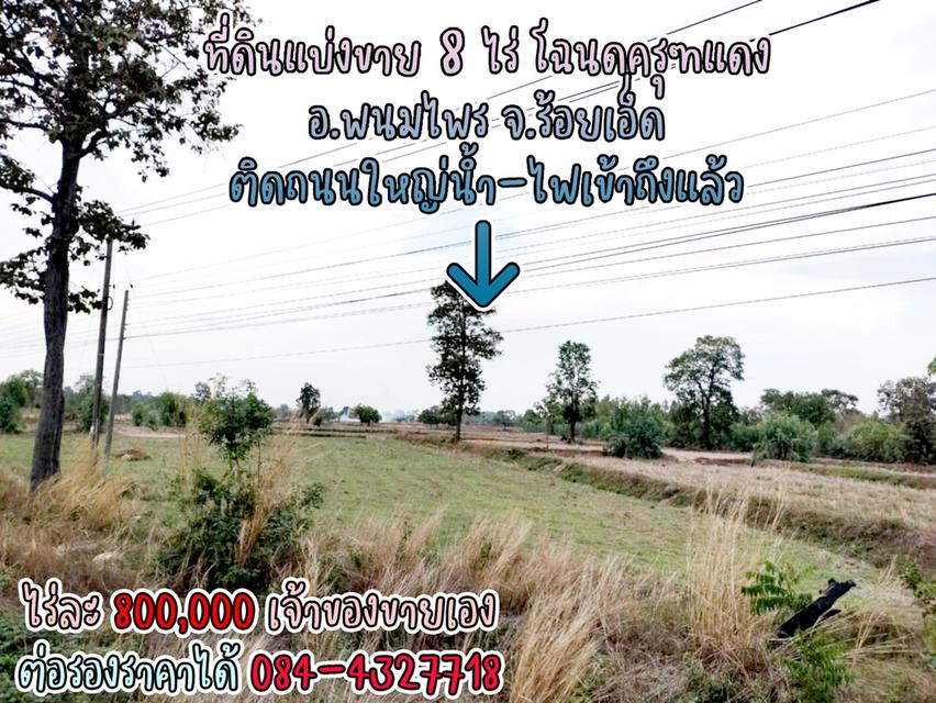 ที่ดินแบ่งขาย 8 ไร่ ราคาไร่ละ 800,000 พร้อมโฉนดครุฑแดง น้ำไฟผ่าน ติดถนนใหญ่ จ.ร้อยเอ็ด เจ้าของขายเอง ราคาต่อรองราคาได้ สนใจติดต่อ 084-4327718 9