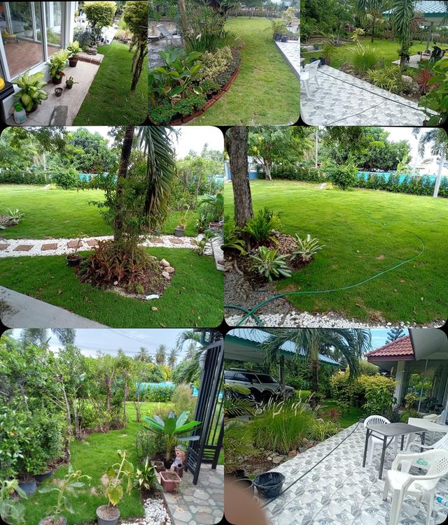 ขายบ้านตะเคียนเตี้ยจำนวน 1 ไร่บ้านพร้อมสิ่งปลูกสร้าง 5