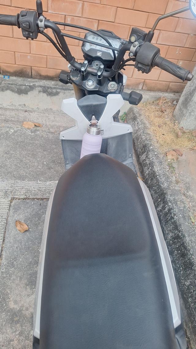 มอเตอร์ไซค์ honda zoomer x ปี 2012 รูปที่ 4