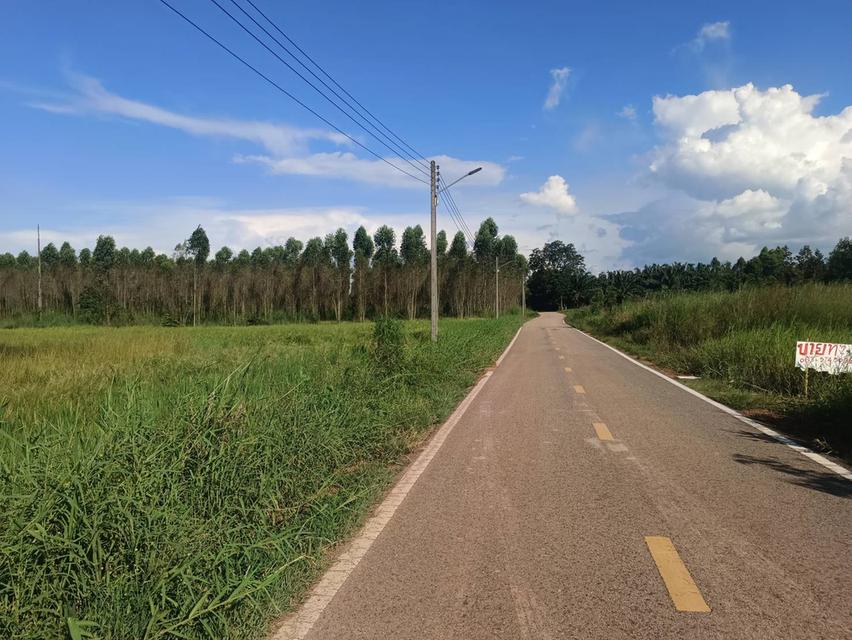 ขายที่ดินนนทรี 2 ไร่ ติดถนนลาดยางใกล้ถนนสุวรรณศร33-4กม. อ.กบินทร์บุรี ปราจีนบุรี 5