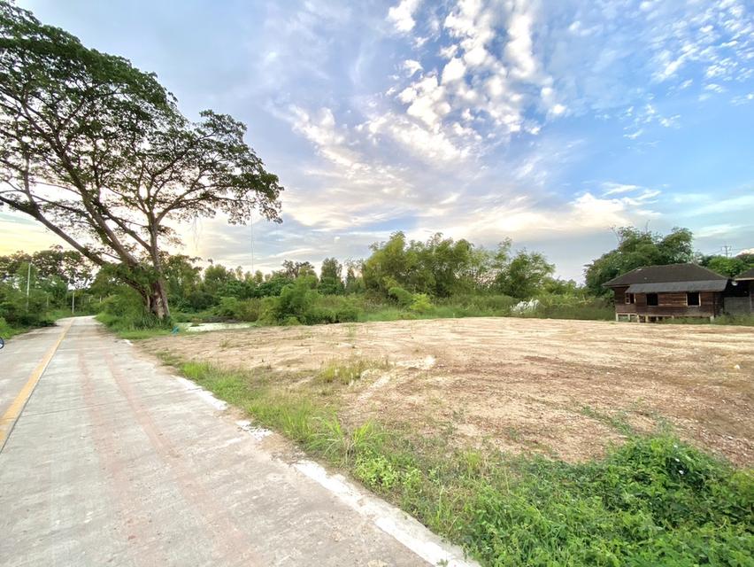 ขายที่ดินเชิงเนินถมแล้ว 194 ตรว. ใกล้ถนนเส้น36(แยกบ้านแลง)-170เมตรใกล้เซ็นทรัลระยอง-3กม. เมืองระยอง 4