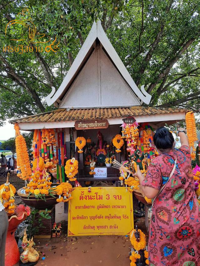 นาคเกี้ยวเกี่ยวทรัพย์ ปี2562 ศาลท้าวพญาชมภูนาคราช วัดพระธาตุวาโย (วัดห้วยน้ำทรัพย์) 3